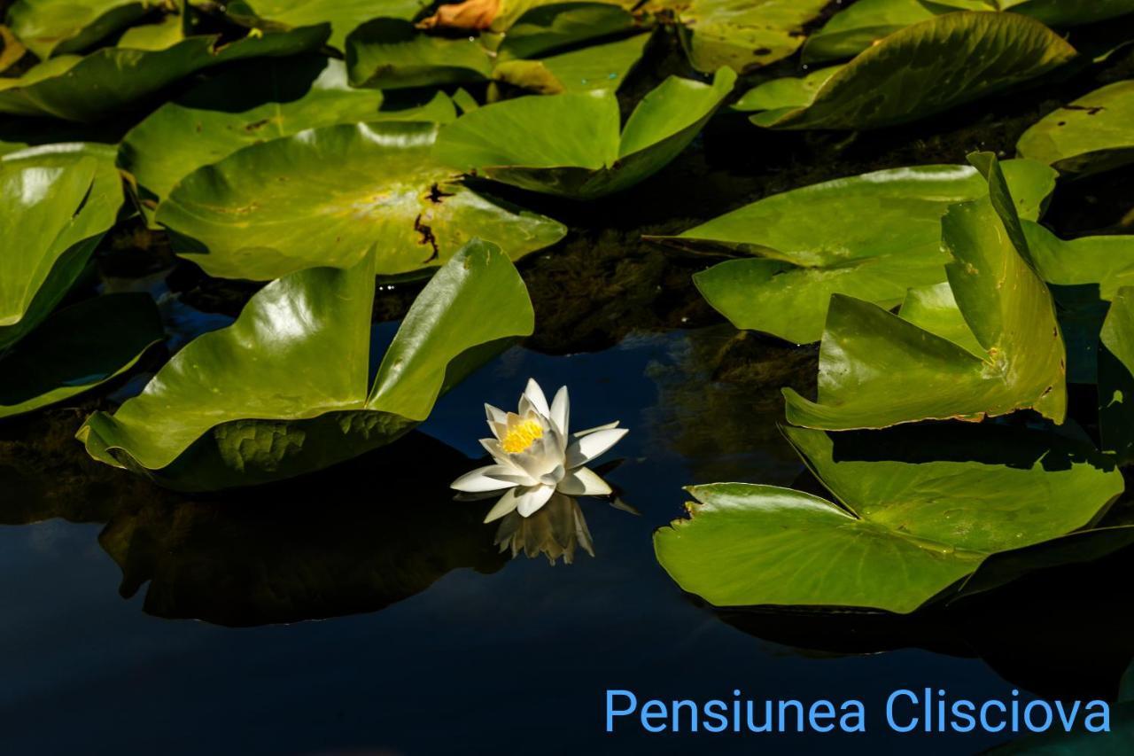 Pensiunea Clisciova Murighiol Exterior foto