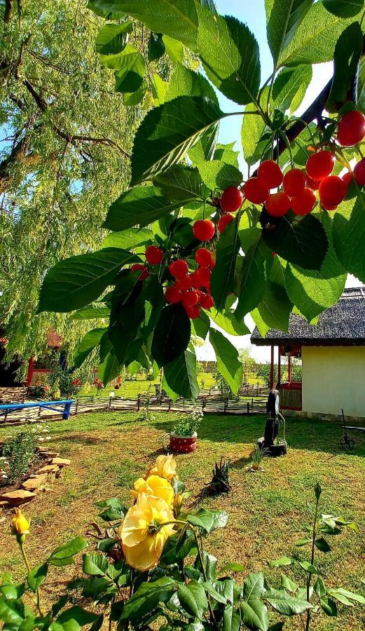 Pensiunea Clisciova Murighiol Exterior foto